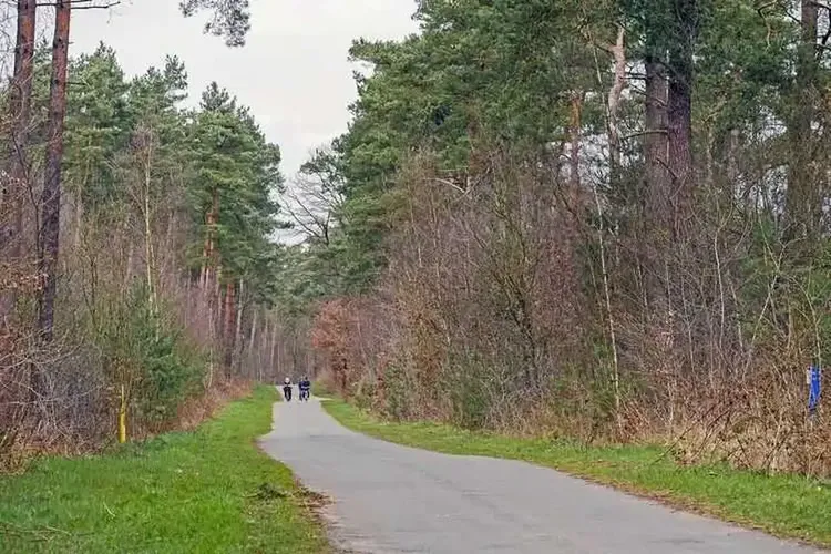 MILF Dülmen