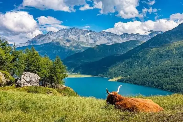 MILF Graubünden