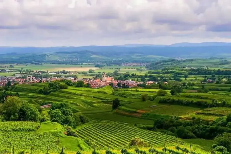 MILF Kaiserstuhl