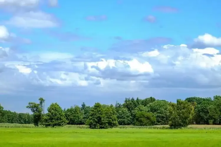 MILF Landkreis Gießen