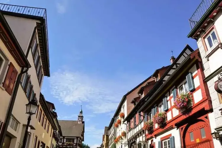 MILF Mühlheim