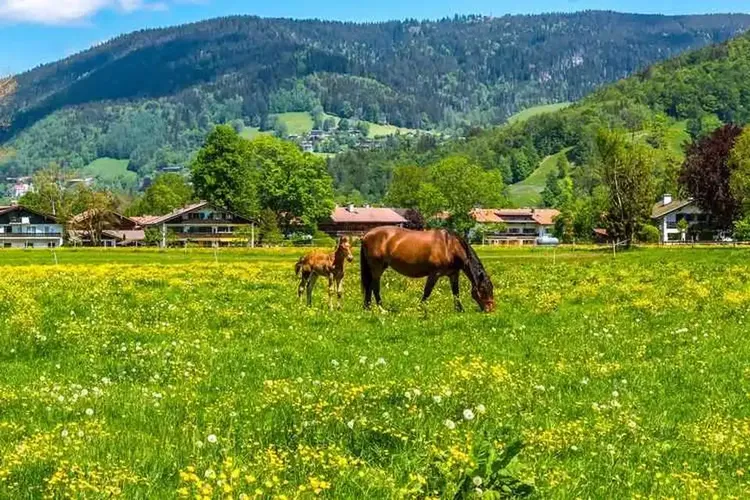 MILF Ottobrunn