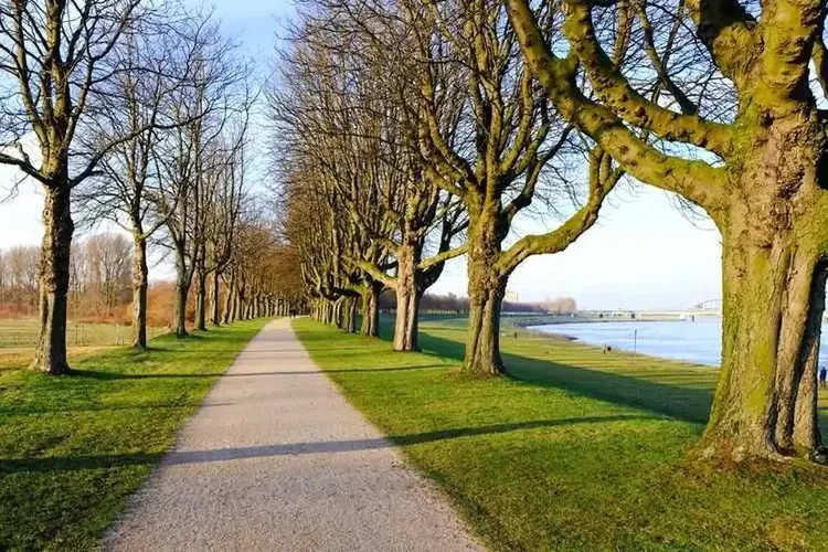 MILF Rhein-Kreis Neuss
