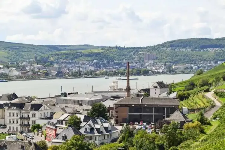 MILF Rheingau-Taunus-Kreis