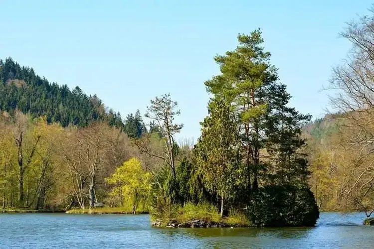 MILF Südwestthüringen