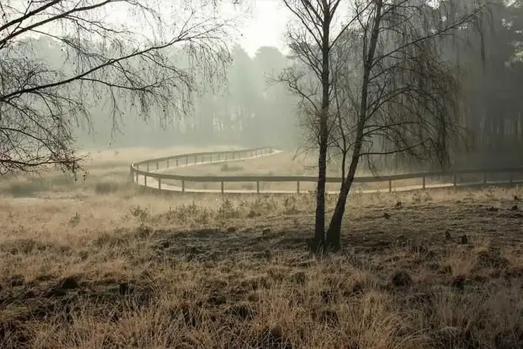 MILF Voerde